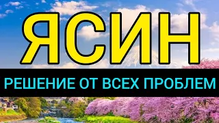 ЯСИН РЕШЕНИЕ ОТ ВСЕХ ВАШИХ ПРОБЛЕМ! ИН ШАА АЛЛАХ!