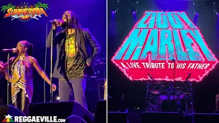 Ziggy Marley - A Live Tribute To His Father @ SummerJam 2022