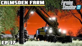 TRAIL OF DESTRUCTION | Calmsden Farm | Farming Simulator 22 - Episode 37