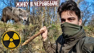 Волки пришли во время рыбалки в Чернобыле. Нашел уникальные находки в заброшенных домах