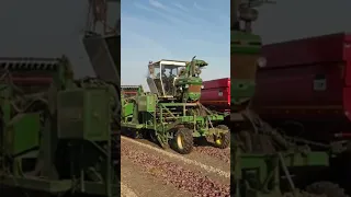 Krakei Ford 7710 onion harvest wheely 😎