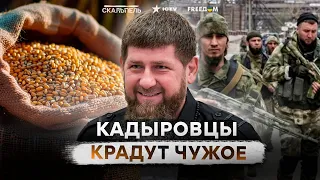 Клан Кадырова КУШАЕТ "ПАЛЯНИЦЮ"? 🥴 Тиктокер ВЫПРАШЕВАЕТ у ГУР сдать сообщника