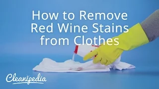 How to Remove Red Wine Stains from Clothes | Cleanipedia