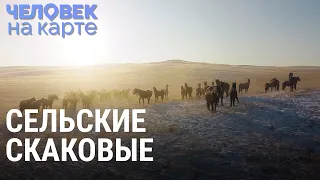 Лошади для скачек в Хакасии | ЧЕЛОВЕК НА КАРТЕ