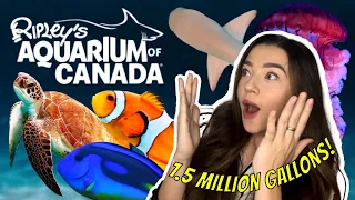 I Visited a 1.5 MILLION GALLON AQUARIUM, Here’s What I Saw!