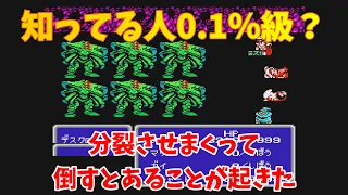 【FC版FF3】暗黒の洞窟分裂モンスター倒しまくるとあることが起こった　ファミコン　ファイナルファンタジー3【裏ワザ】【バグ技】