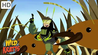 Really Small Creatures | Termites, Worms, Lizards + more! [Full Episodes] Wild Kratts