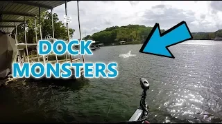 Catching HUGE Fish By DOCKS! Lake Of The Ozarks