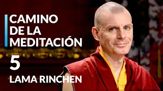 🎯Lama Rinchen Gyaltsen  | Abraza el Equilibrio con la Meditación Samatha