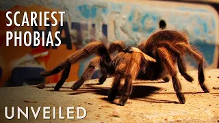 Which Phobia is the Scariest of All? | Unveiled