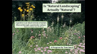 When is Natural Landscaping Truly Natural?  Kalamazoo Area Wild Ones, October 2023