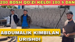 200 BOSH QO‘ZILAR KELDI ABDUMALIK NARXLARNI TUSHURVORDI