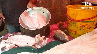 Giant Grouper Cutting Skills, GrouperFillet Hot Pot / 巨大龍膽石斑切割技能, 頂 - Taiwanese Food