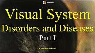 Visual  System Disorders and Diseases. Part I.