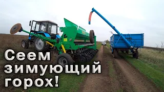 Выехали сеять зимующий горох! МТЗ-892 NIKA-4.