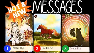 Hot & New Messages From Your Spirit Guides!✨🔥🤩✨PICK A CARD 🃏Timeless Reading