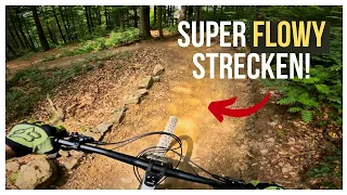 Flow Trail at MSB-X Trail (Bikepark Sankt Andreasberg im Harz) is really fun!  [4K]