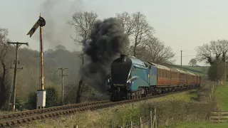 LNER Class A4 4464 'Bittern' at the Severn Valley Railway in March 2012
