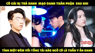 Cô Gái Bị Trà Xanh Mạo Danh Thân Phận Sau Khi Tình Một Đêm Với Tổng Tài Nào Ngờ Cô Là Thần Y Ẩn Danh