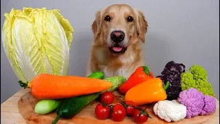 Dog : Show your friend who doesn't Eat Vegetables.