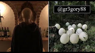 @gr3gory88 - Creepy Twitter Account With A Side Of Eggs. - Analysis, Lets Explore