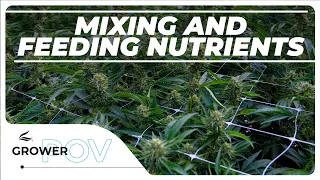 Growers POV: Must Have Nutrients & How to Mix Them.