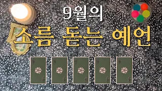 [타로카드] 9월의 소름 돋는 예언😱