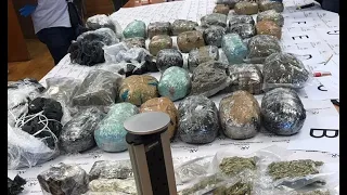 Rs 31M of Cannabis seized by the MRA at the seaport