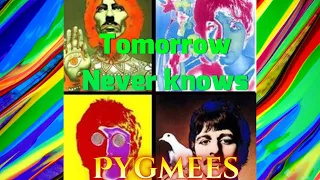 Tomorrow Never Knows| Beatles cover by The Pygmees | Psychedelic!