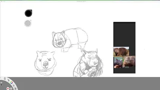 drawing a wombat for the first time in 15 minutes