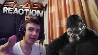 Reaction | 7 серия 2 сезона "The Flash/Флэш"