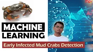 Multi-stage Identification (Type I - VI) Infected Mud Crabs - MPI 2021