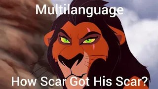 The Lion Guard | How I Got My Scar - One Line Multilanguage (21 Languages)