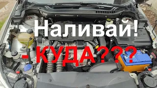 Куда заливать и какие жидкости под капотом автомобиля начинающему водителю! Плюс лайфхак!