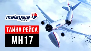 Рейс MH17. Что Случилось с Малайзийским Боингом в 2014 году?