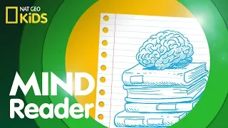 Mind Reader | Brain Magic