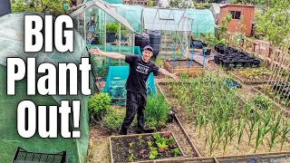 I've Been Waiting FOREVER To Do This! Allotment Gardening For Beginners