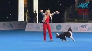 FCI Dog dance World Championship 2016 – Winner freestyle - Yvonne Belin and Alice (Switzerland)