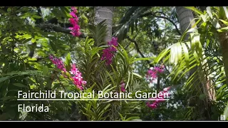 Fairchild Tropical Botanic Garden in Florida