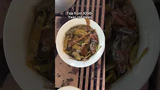 Tea and food in yunnan is 100/10 #tea #farm #yunnan #food #jessesteahouse #travel #chicken #puertea