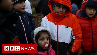 Stranded in the freezing darkness of a Polish forest - BBC News