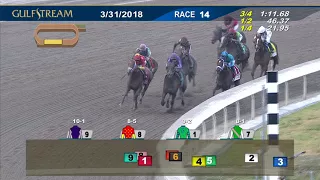 Gulfstream Park Race 14 | March 31, 2018