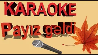 Payiz geldi ucdu getdi quslar karaoke