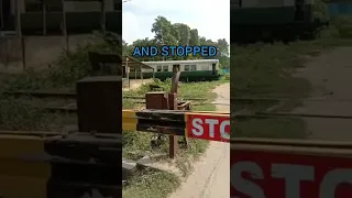 Train Stops Suddenly to Save the Life of a Cow! #shorts #humanity #train #short videos