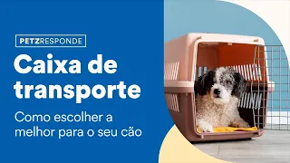 Como escolher a melhor caixa de transporte para cachorro