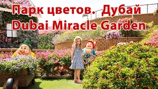 Парк цветов.  Дубай. Dubai Miracle Garden.