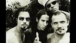 Red Hot Chili Peppers LIVE with Dave Navarro 1995