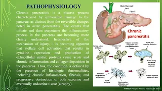 Сhronic pancreatitis. Associate professor Olena Makharynska