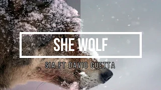 She Wolf // David Guetta ft Sia - Español