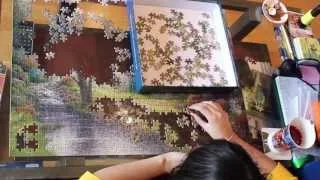 Jigsaw Puzzle pieces. ASMR, Soft Spoken jigsawing : )